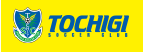 Tochigisc
